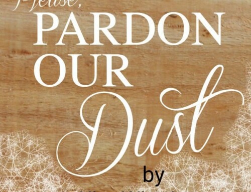 Pardon our Dust