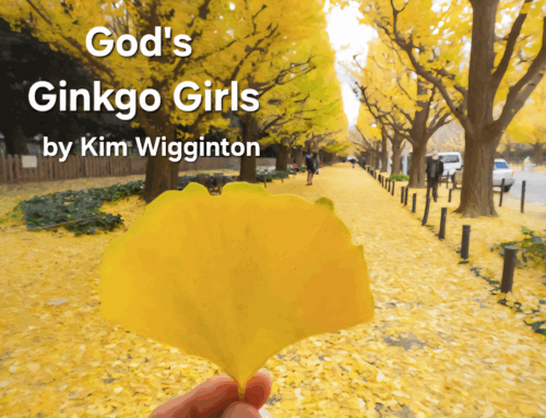 God’s Ginkgo Girls!